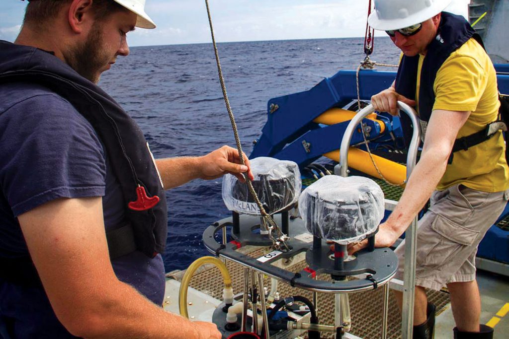 Marine Life Without Oxygen In The Tropical Pacific - Schmidt Ocean ...